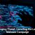 How Edge Computing Supports Real-Time Business Expansion Needs